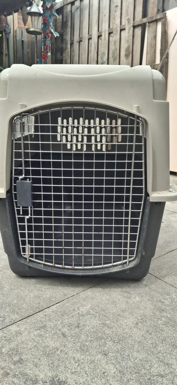 Vari honden kennel groot
