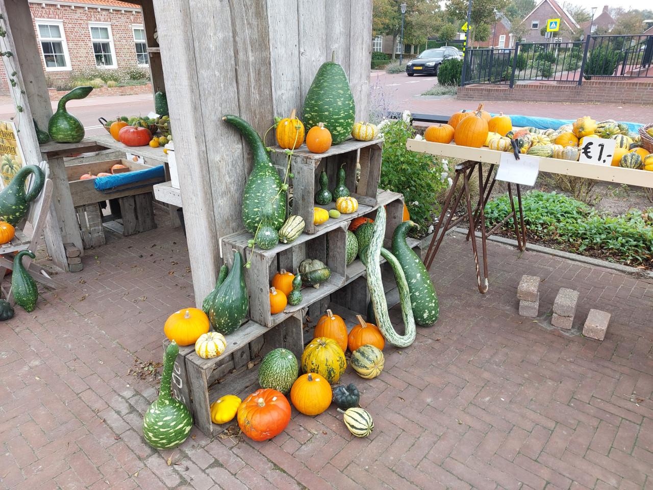 Pompoenen