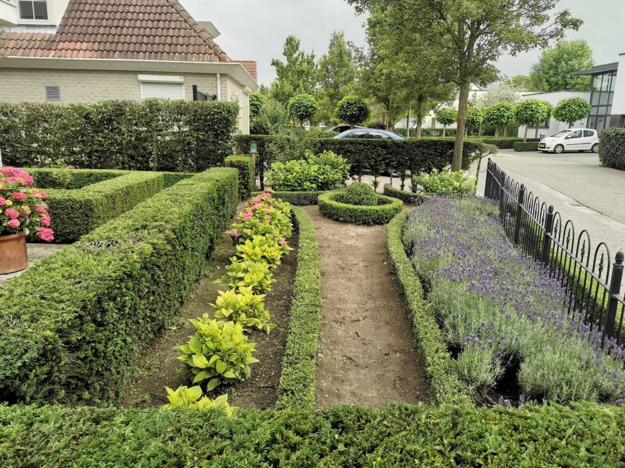 Zoekt u een betrouwbare Hovenier ?