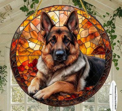 Raamhanger Duiste herder