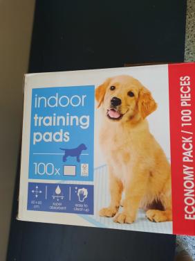 Trainings voor hond