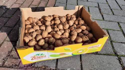 Walnoten (geselecteerd)
