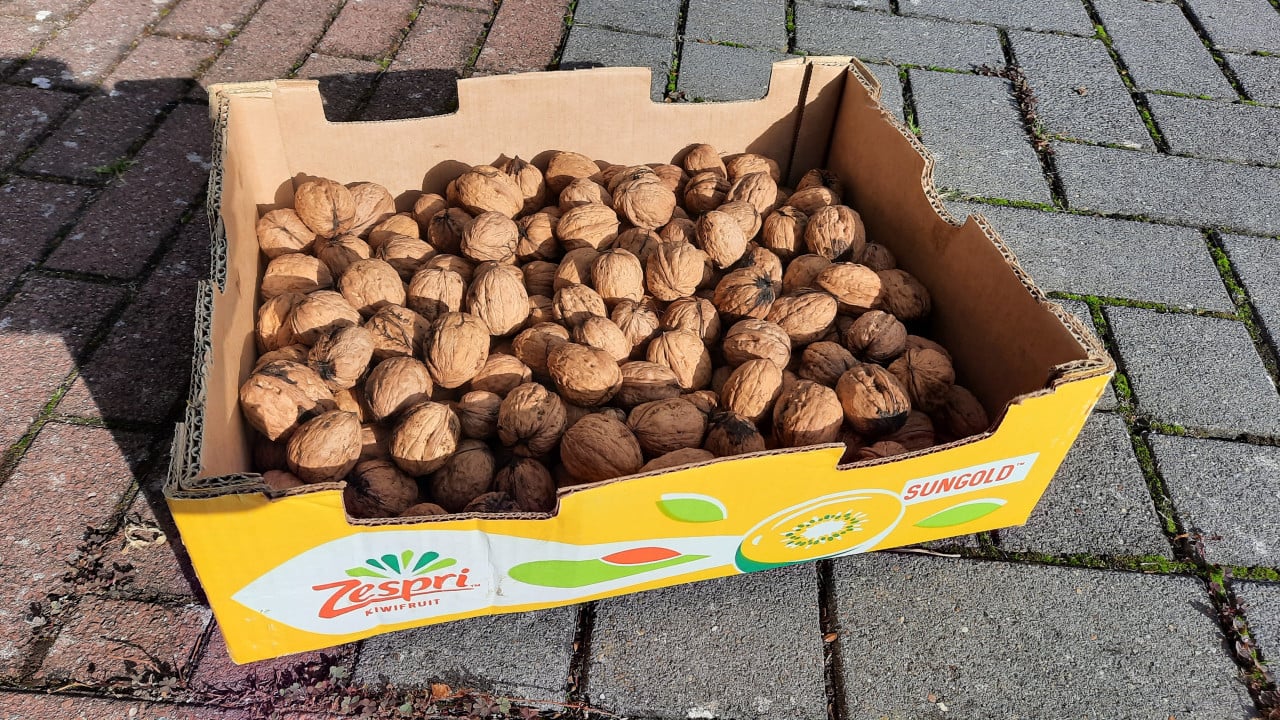 Walnoten (geselecteerd)