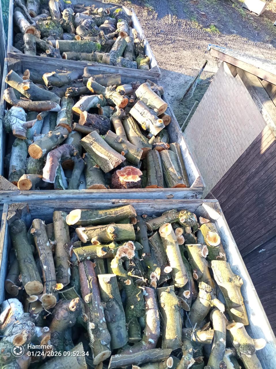 Openhaardhout appel, pas gerooid. € 60,- per kist.