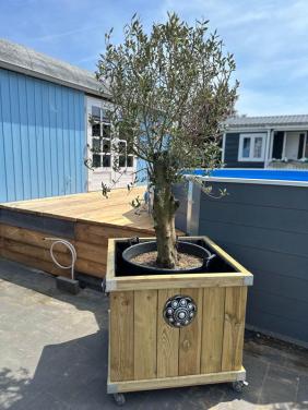 Zeeuwse knop bloembakken projecten ter inspiraties L85 x B85 x H75