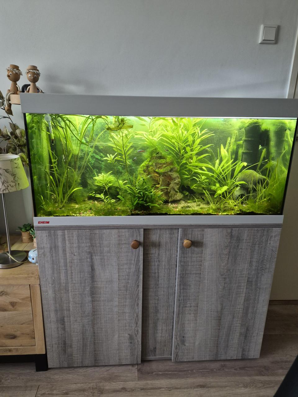 Aquarium ( Gereserveerd )
