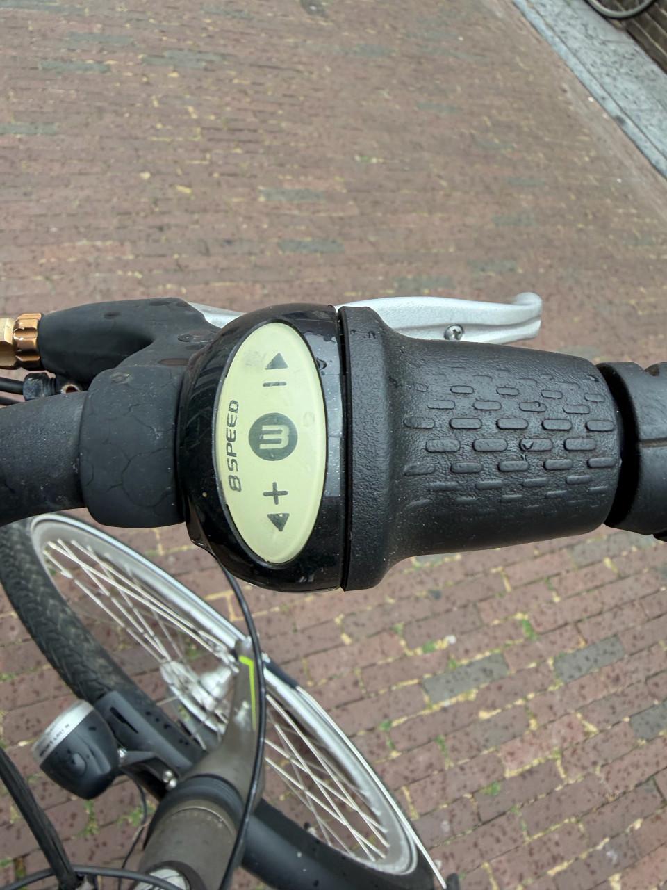 Vogue elektrische fiets