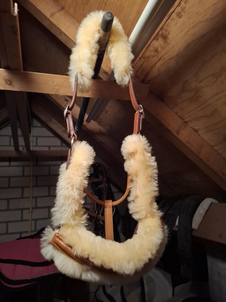 Halsters