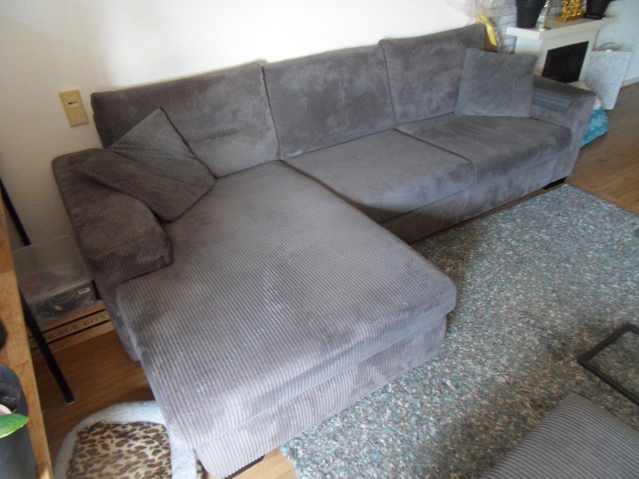 Loungebank