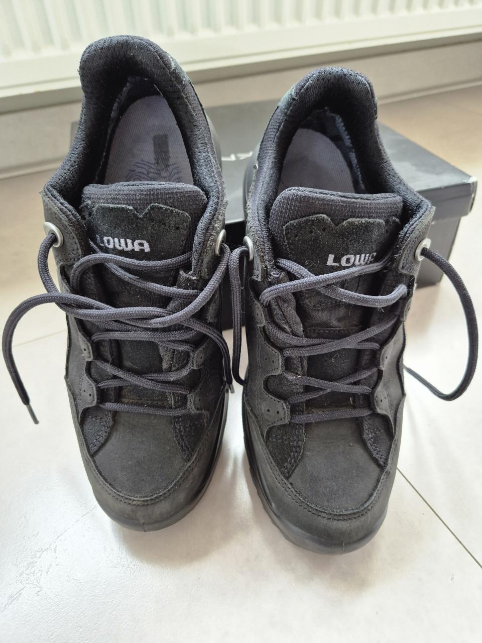 Wandelschoenen Lowa Renegate