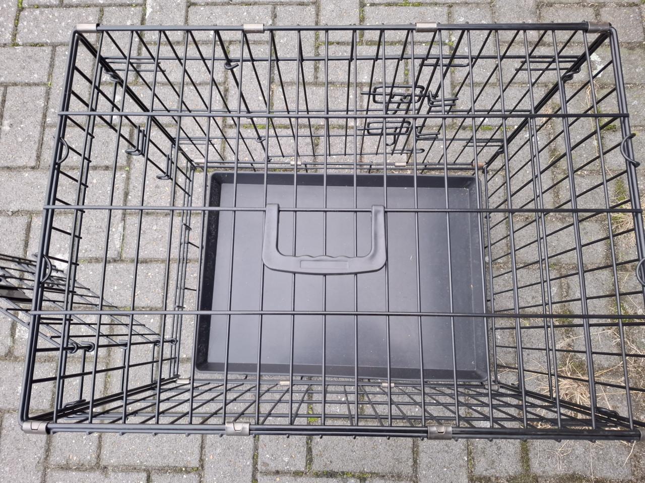 Honden beschikbaar 45 x57 cm