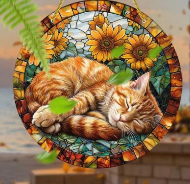 Raamhanger poes - kat