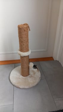 Krabpaal kat
