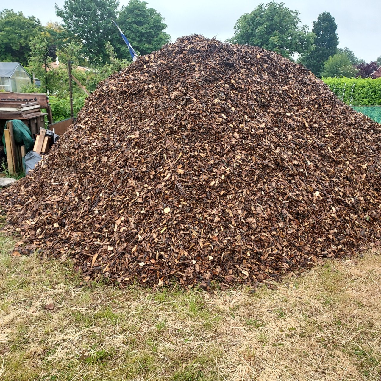 Houtsnippers in Ovezande 10 euro per kuub