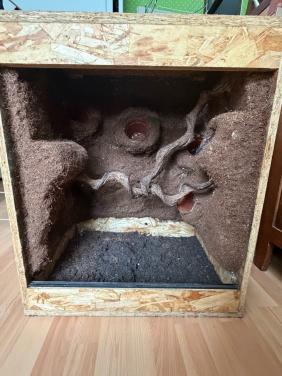 OSB terrarium