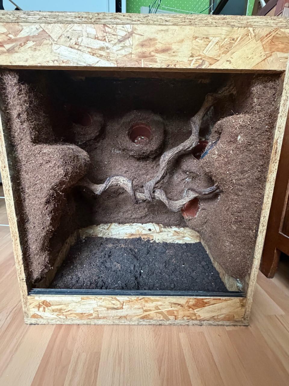 OSB terrarium