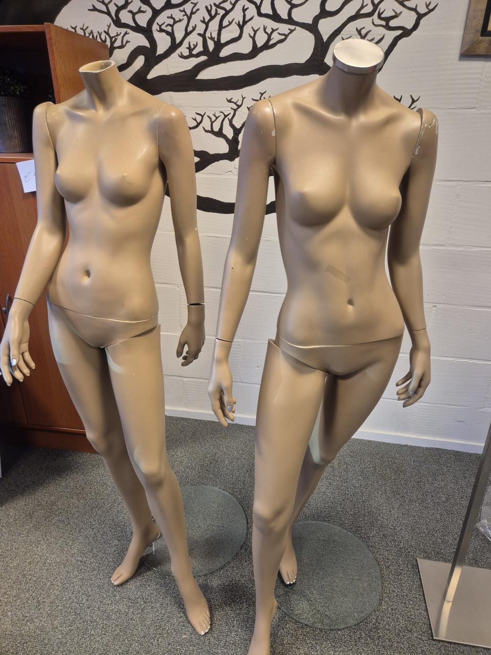 2 paspoppen te koop
