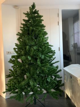 Kerstboom 2.10. Volle boom