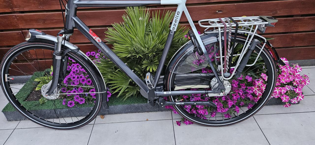 Gazelle Eclipse Limited 65 cm Herenfiets