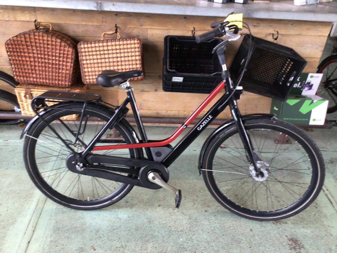 Gazelle City Go