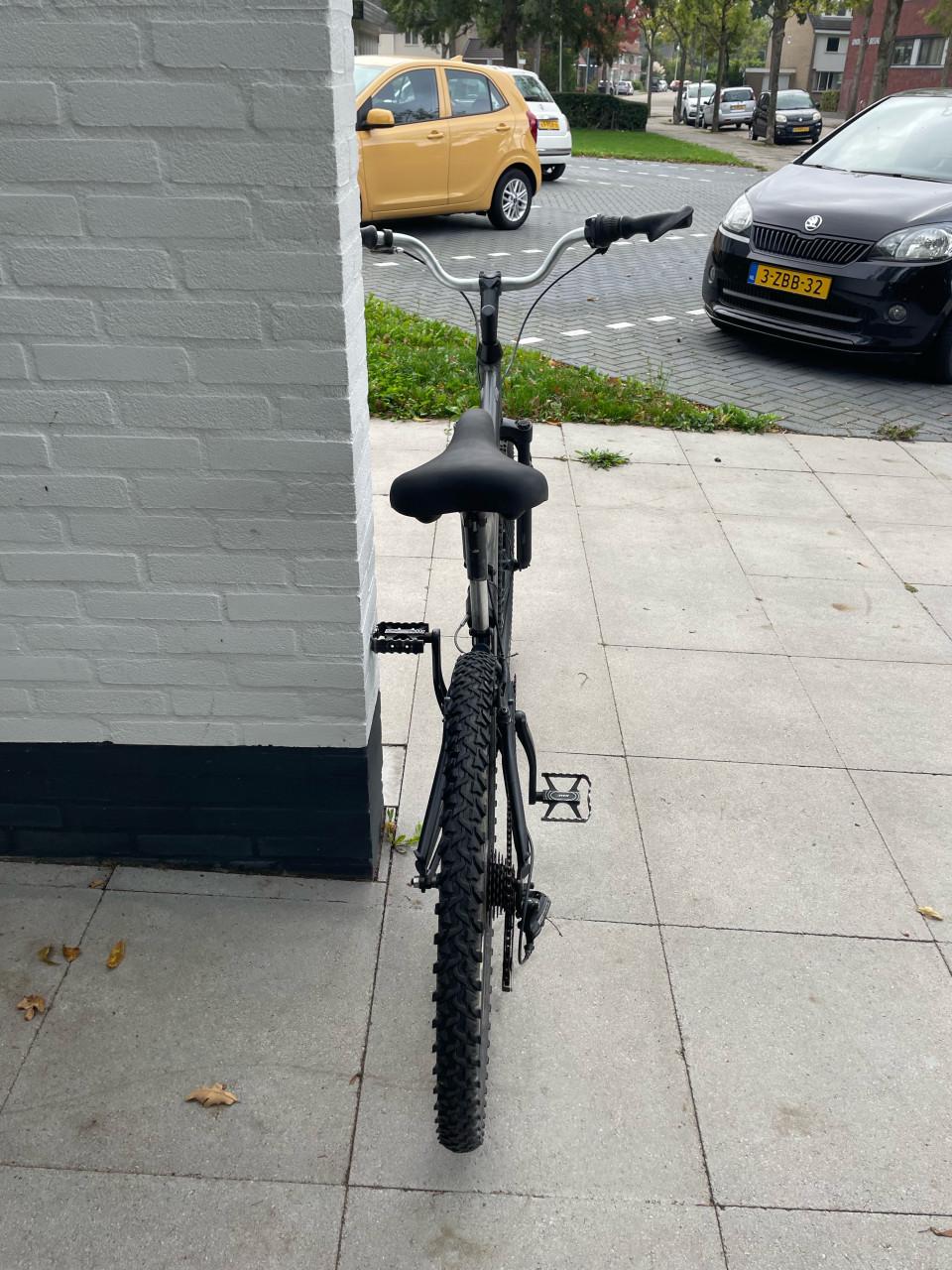 Beach cruiser.