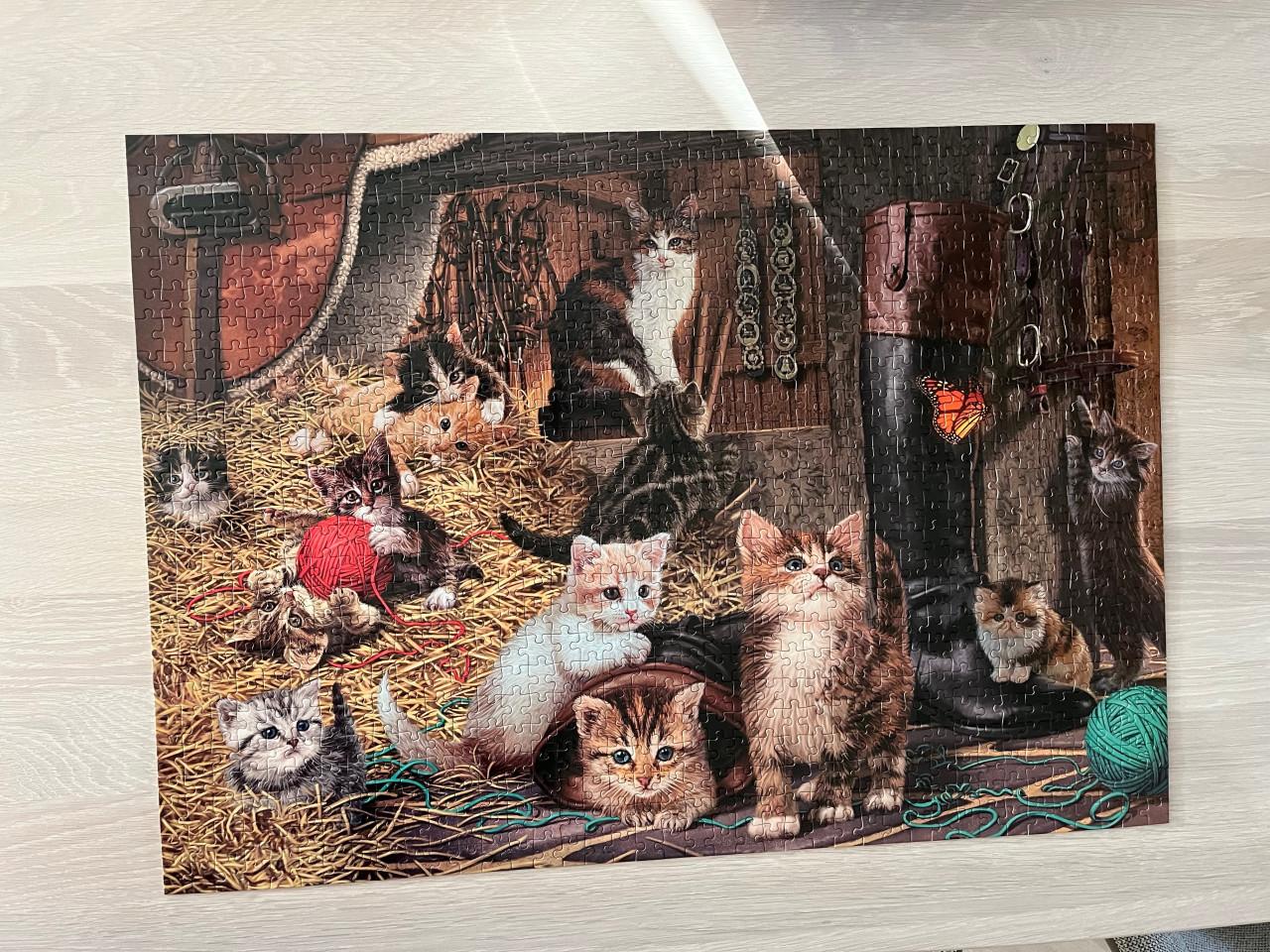 Puzzels 1000 stukjes