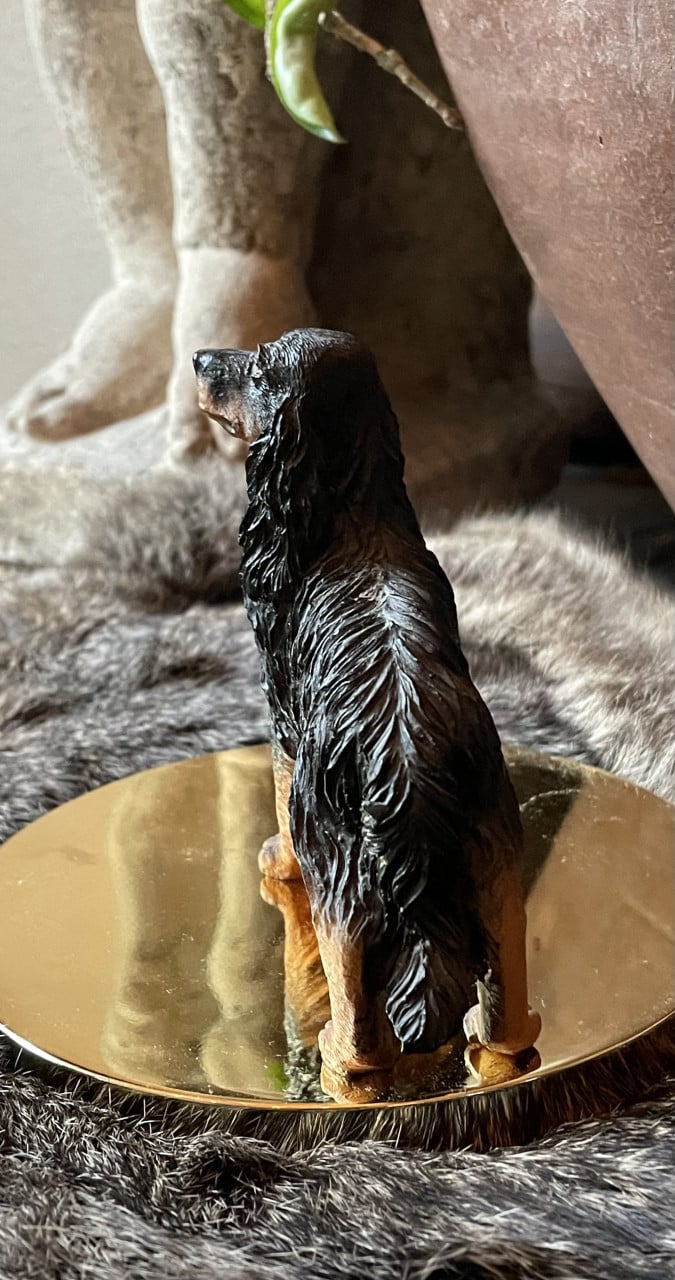 Afghaanse windhond en setter