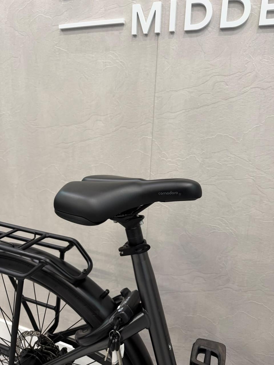 Pegasus Premio EVO Bosch Performance CX 55CM 81KM 750Wh