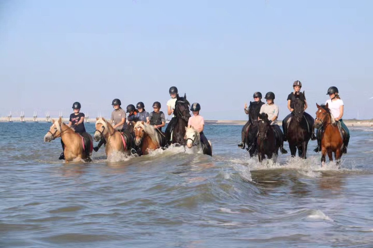 Ponykamp In Middelburg!