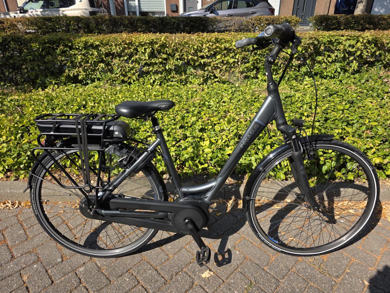 Keurig nette Pegasus met Bosch middenmotor
