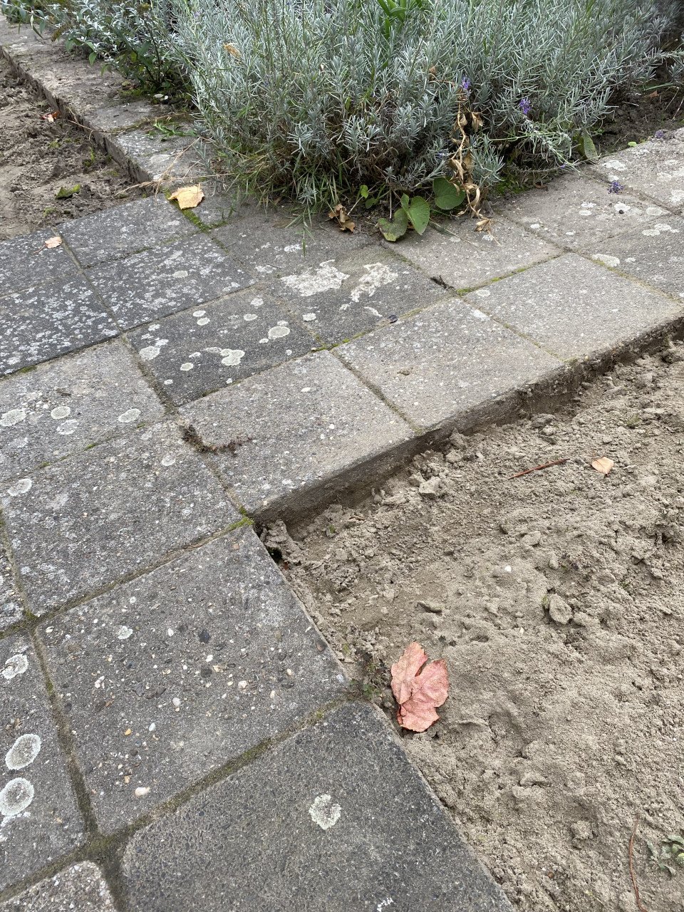 Stoep tegels beton tegels