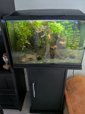 Aquarium