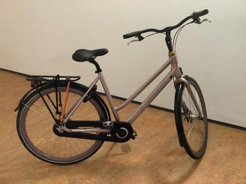 Keurige Batavus Dinsdag