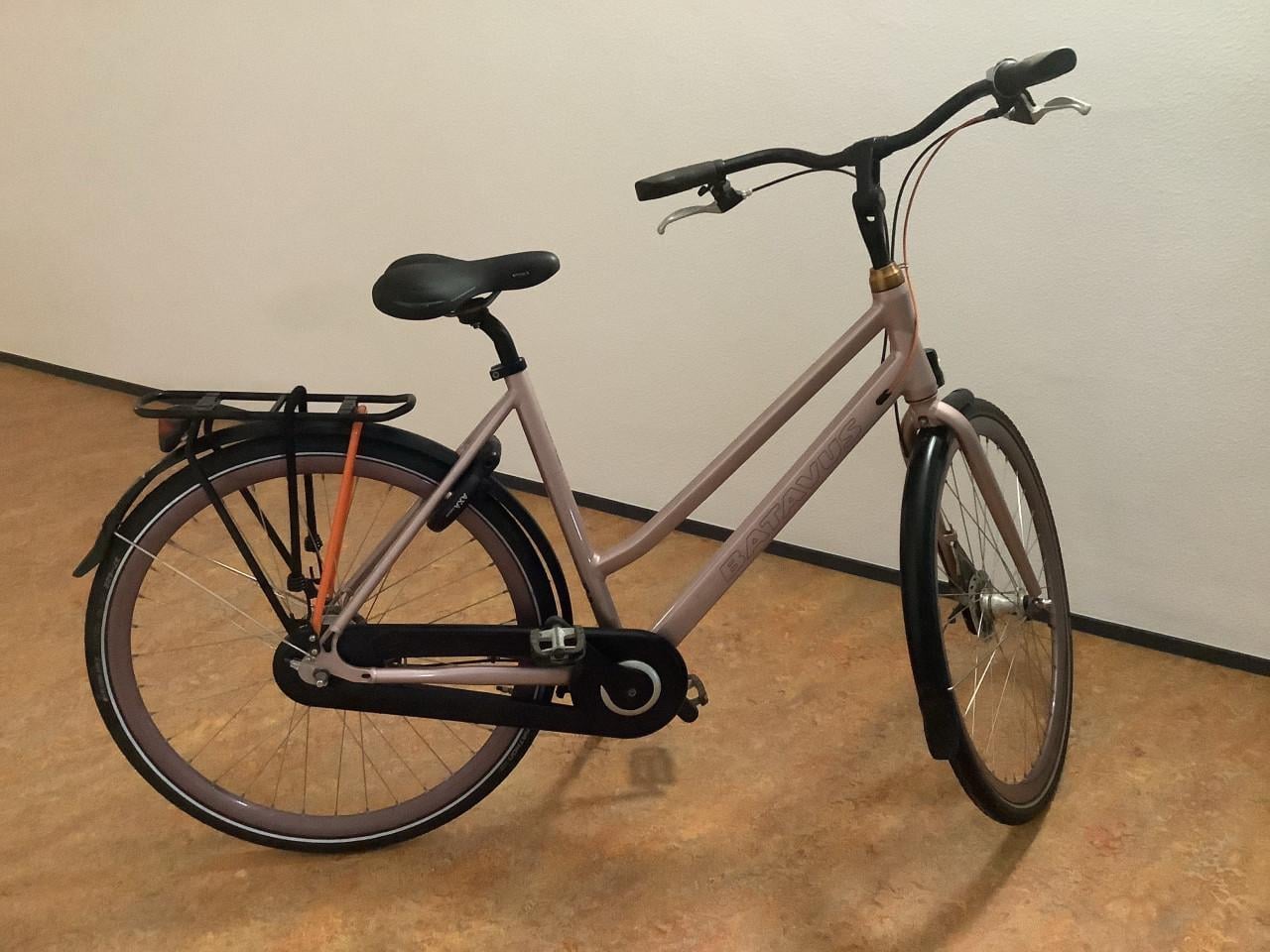 Keurige Batavus Dinsdag