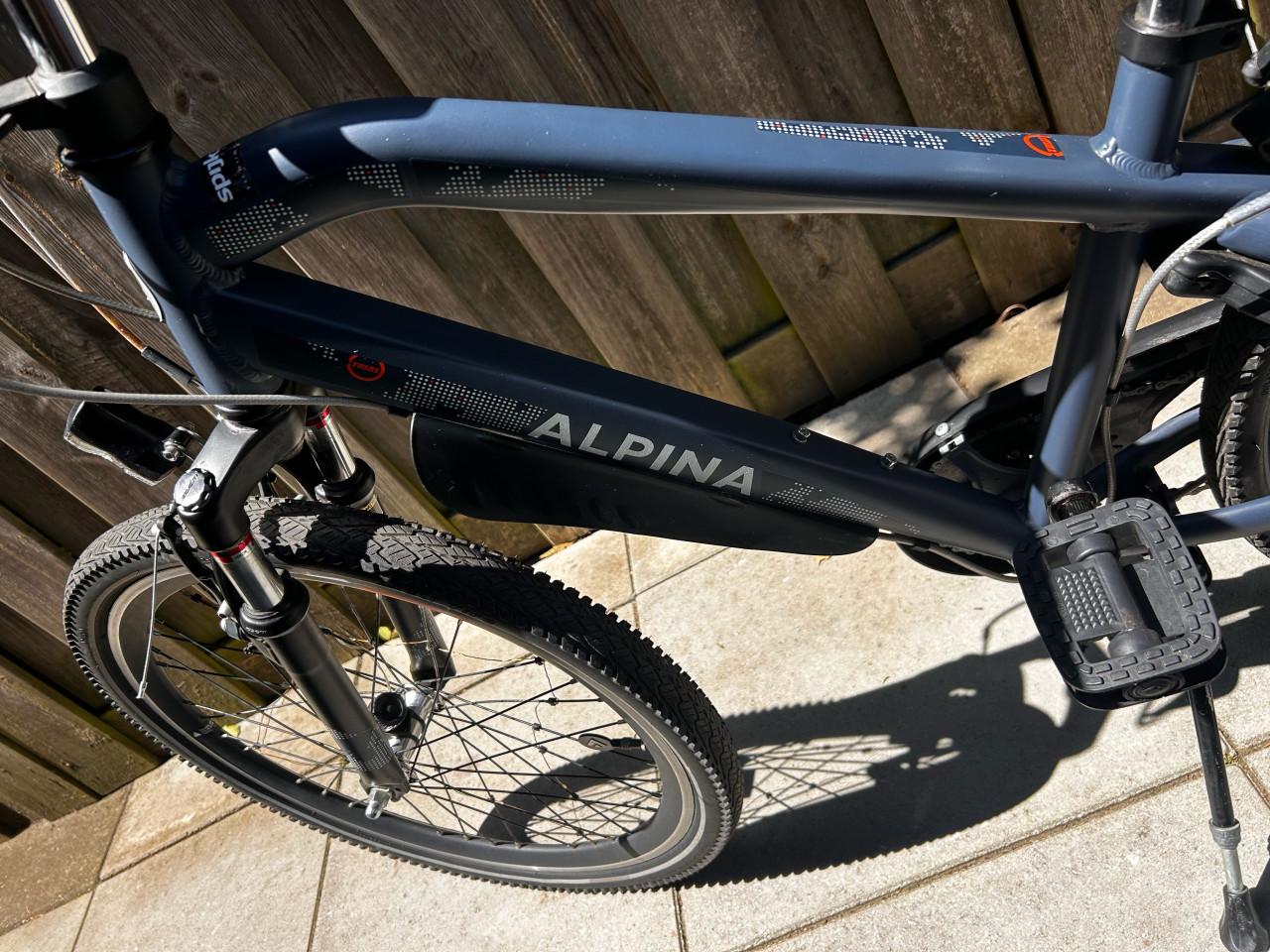 Alpina Trial 24”