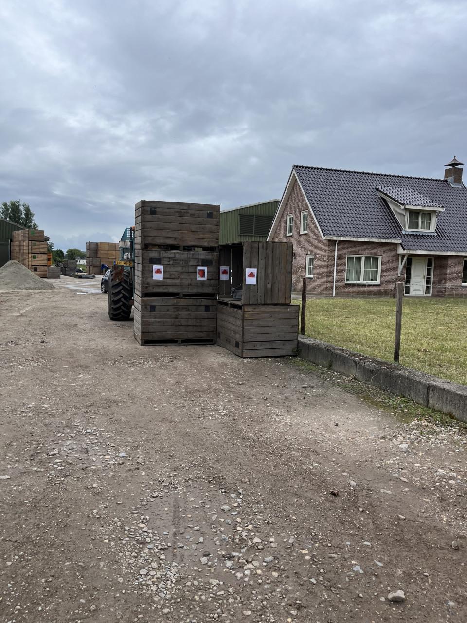 🍓Verse aardbeien te koop in Yerseke!🍓