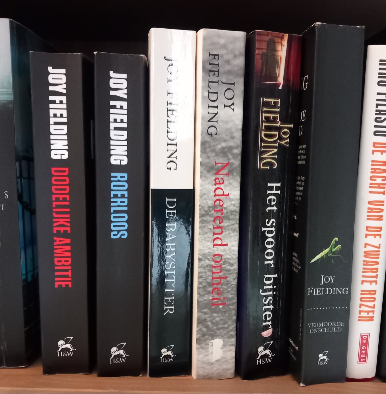 Boeken van Joy Fielding