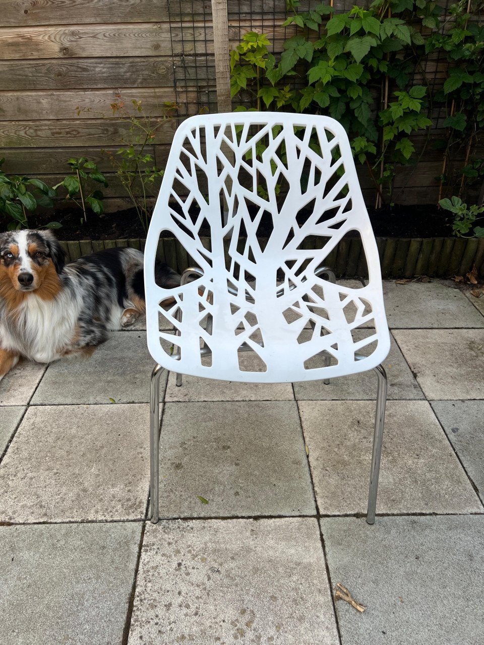 2 takkenframe stoelen