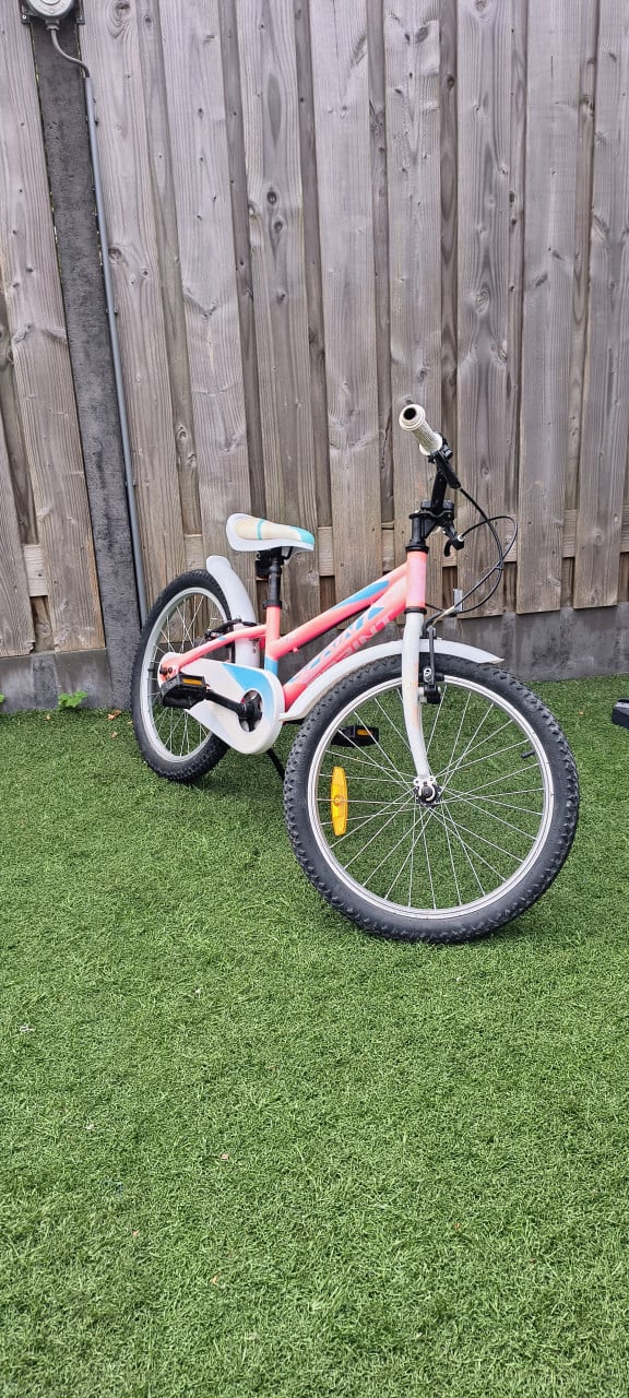 Meisjes fiets 20 inch