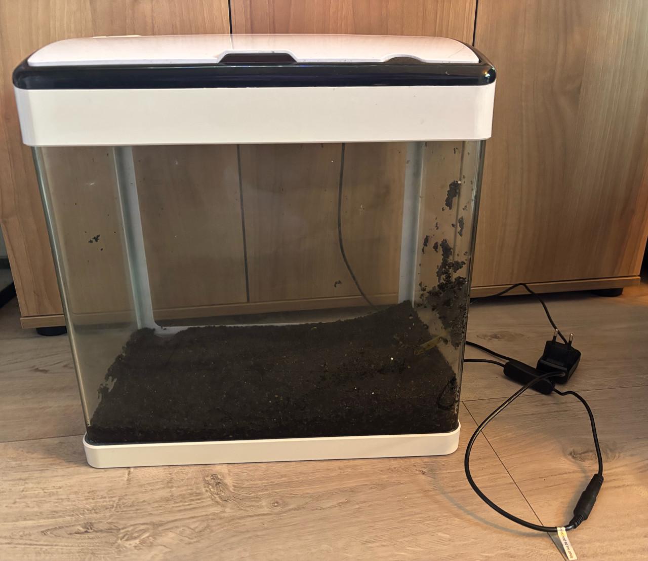 Aquarium superfish panorama