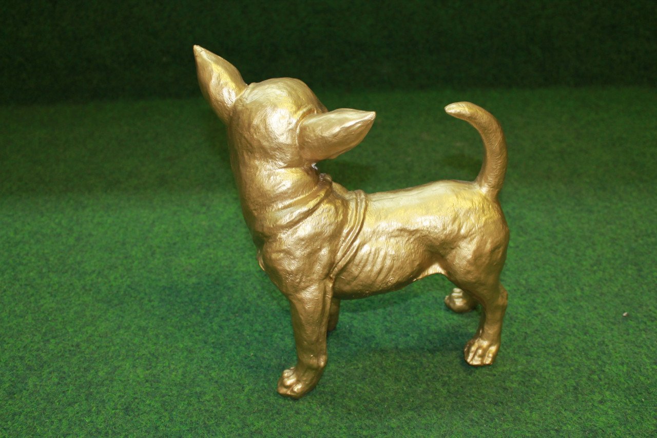 Gouden Chihuahua leuk als deco voor binnen en buiten