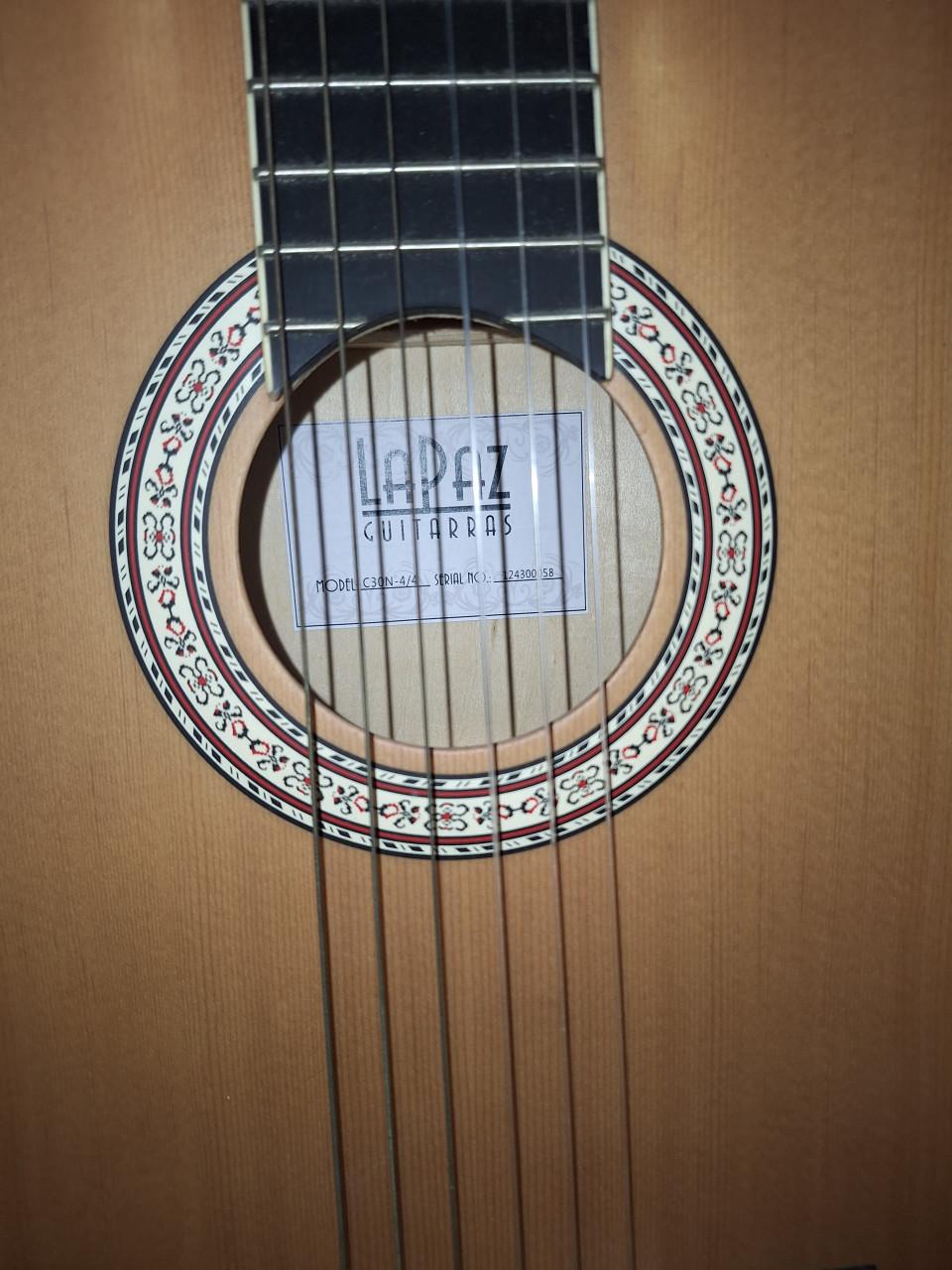 Akoestische gitaar met draagtas