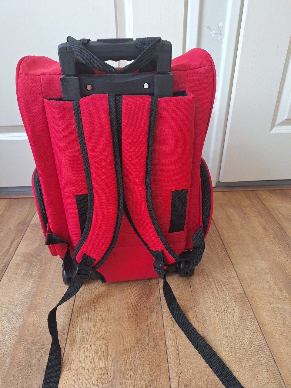 Trolley voor kleine hond of kat