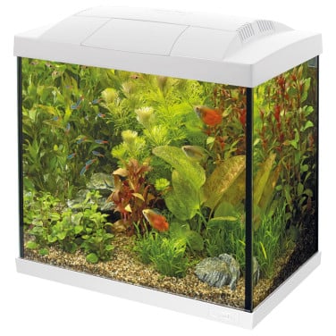 Aquarium Superfish start 30