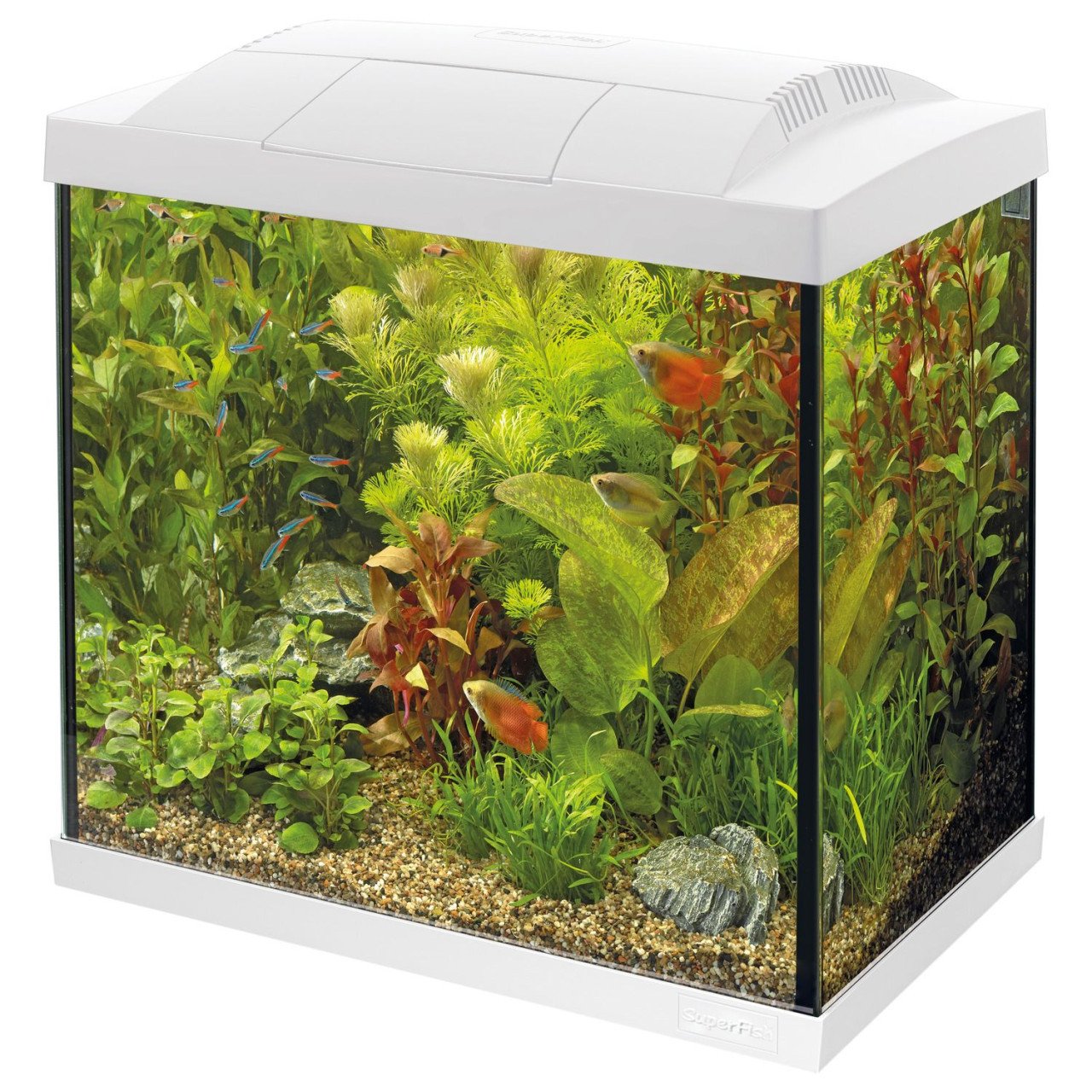 Aquarium Superfish start 30