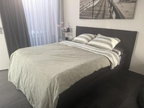 Auping Boxspring (gratis)
