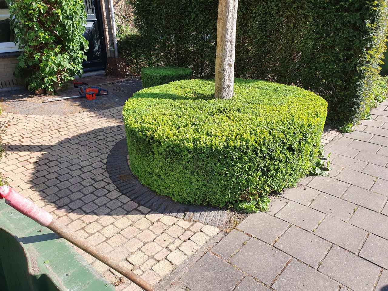 Langdurig onkruidvrij