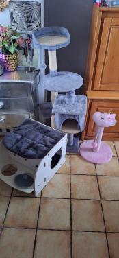 Katten krabpalen + huisje