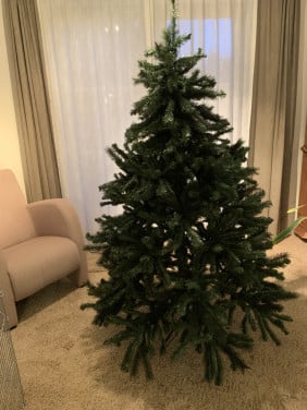 Kerstboom