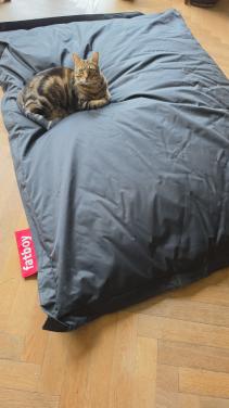 Fatboy zitzak gereserveerd